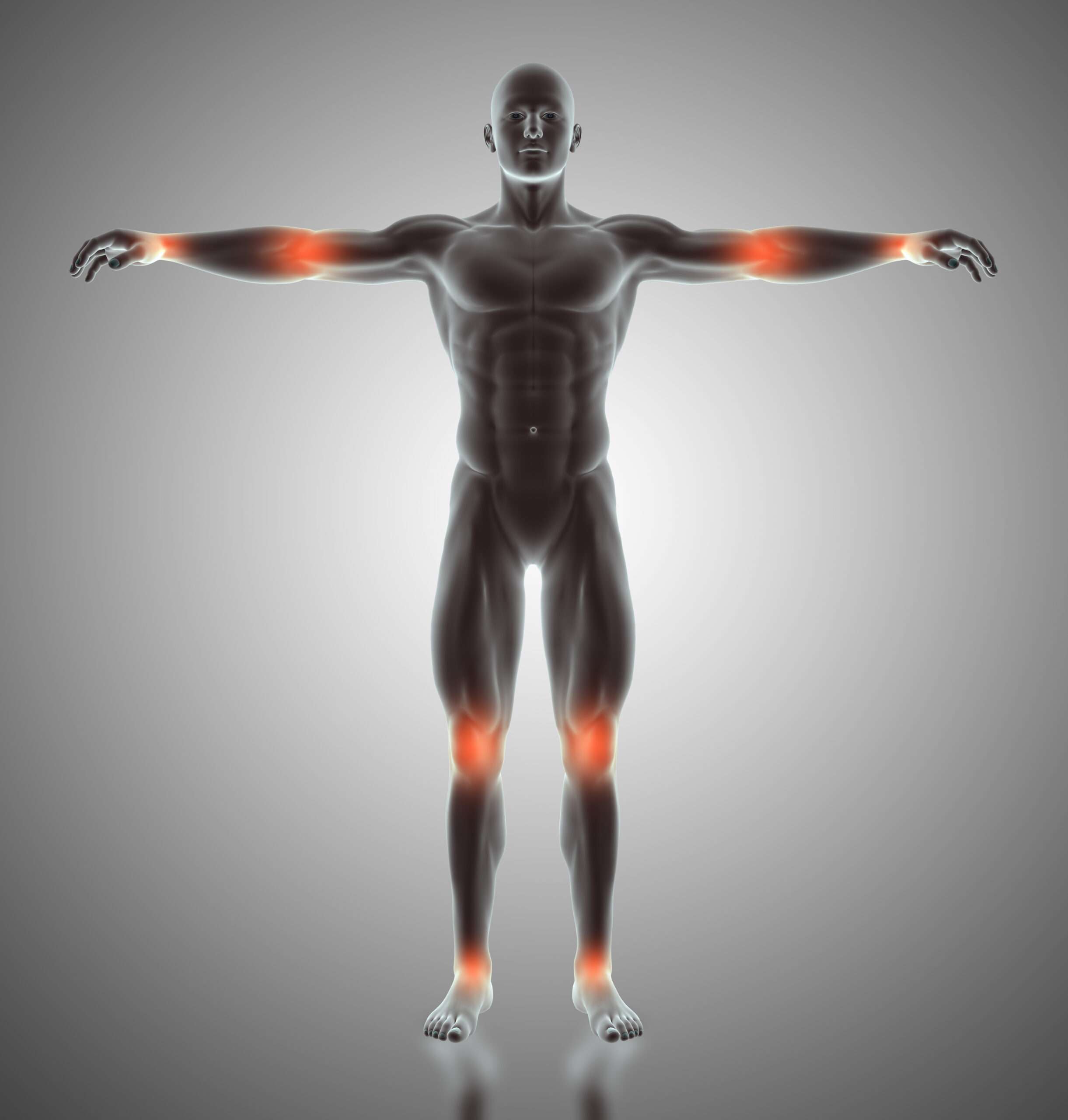 What Are Useless Body Parts Called